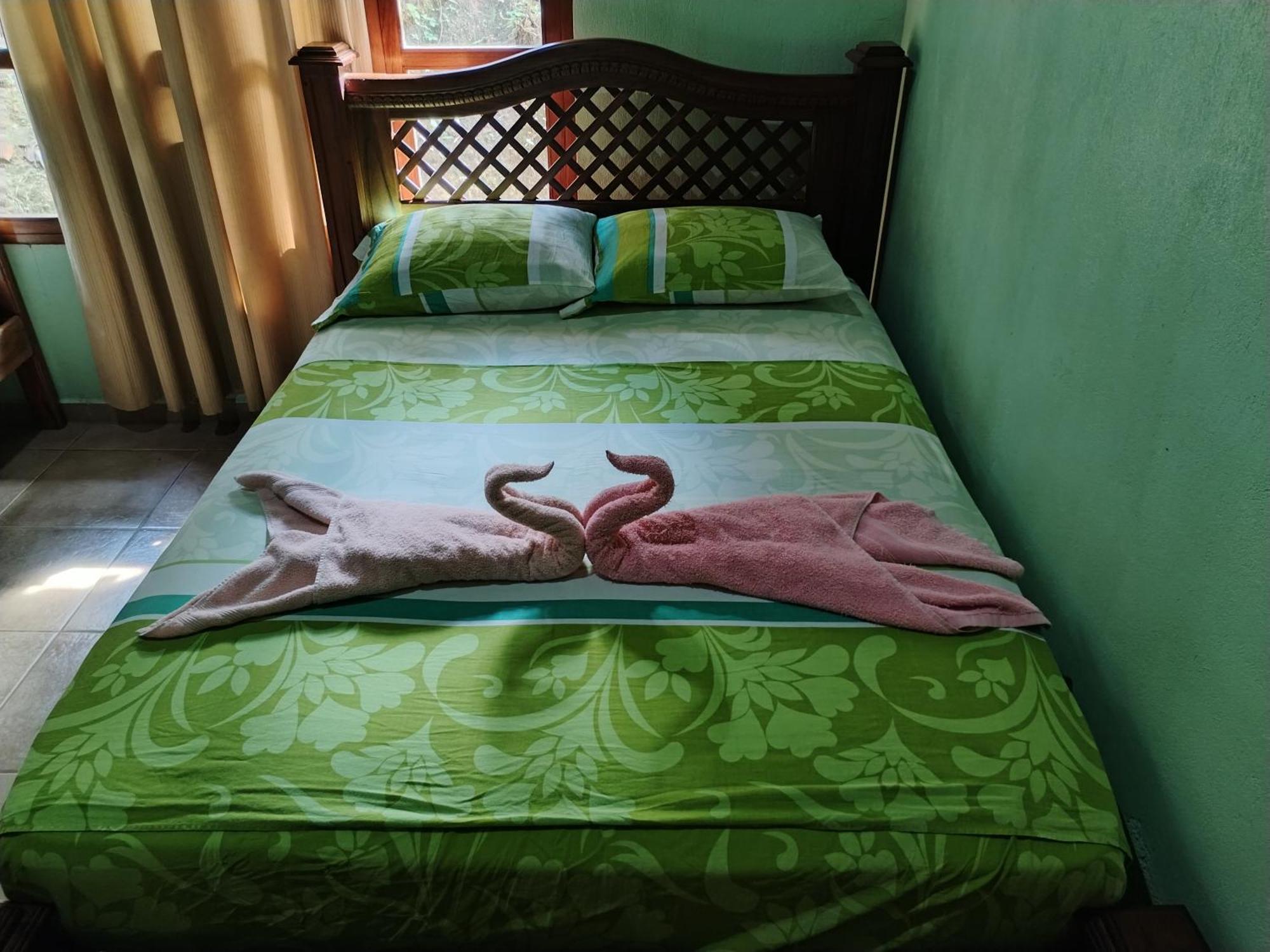 Osa House - Drake Corcovado Tours Bed and Breakfast Drakes Bay Eksteriør billede